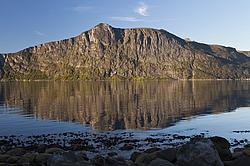 ������ �����, ��������, ��� �� �������