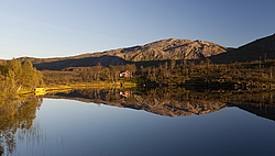 ������ �����, ��������