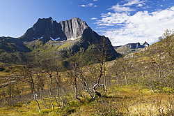 ������ �����, ��������