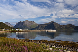 ������ �����, ��������