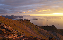 ��������, ������ �����, ����� 