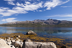 �������, ��������