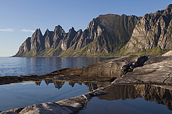 ������ �����, ��������, ��� �� 