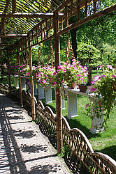 ���� ������ ������, �����