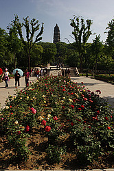 ������, �������� �����