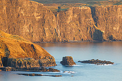 ��������������, ���������, ������ ����, ������