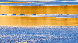 ��������������, ���������, ������ ����, ������