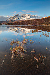 ��������������, ���������, ������ ����, ������