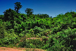 ������� ����. ����. �������� 2009 ����