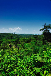 ������� ����. ����. �������� 2009 ����