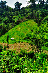 ������� ����. ����. �������� 2009 ����