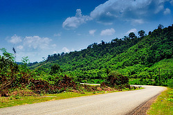 ������� ����. ����. �������� 2009 ����