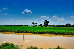 ������� ����. ����. �������� 2009 ����