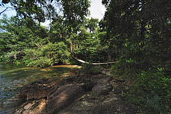 ������� Tad Leuk. ������������ ���� Phou Khao Khouay. ����