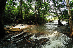 ������� Tad Leuk. ������������ ���� Phou Khao Khouay. ����