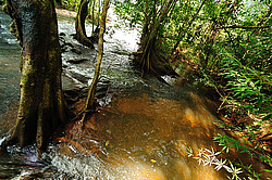 ������� Tad Leuk. ������������ ���� Phou Khao Khouay. ����