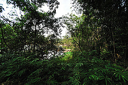 ������� Tad Leuk. ������������ ���� Phou Khao Khouay. ����