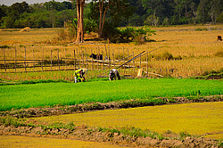 ������� ����. ����. ������ 2009 ����