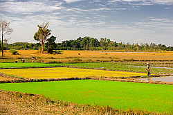 ������� ����. ����. ������ 2009 ����