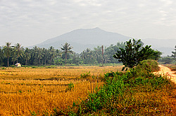 ������� ����. ����. ������ 2009 ����