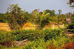 ������� ����. ����. ������ 2009 ����