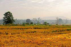 ������� ����. ����. ������ 2009 ����