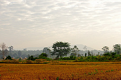 ������� ����. ����. ������ 2009 ����