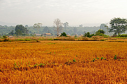 ������� ����. ����. ������ 2009 ����