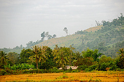 ������� ����. ����. ������ 2009 ����