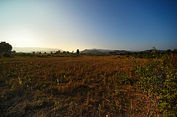 ������� ����. ����. ������ 2009 ����