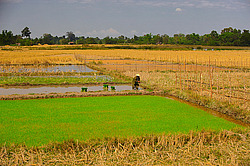 ������� ����. ����. ������ 2009 ����