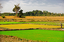 ������� ����. ����. ������ 2009 ����