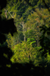 �������� �������. ������� 2009 ����