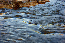 �������� �������. ������� 2009 ����