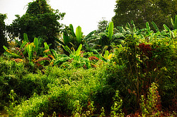 �������� �������. ������� 2009 ����