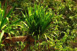 �������� �������. ������� 2009 ����