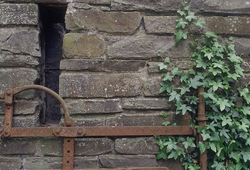 �������� �����, ��������