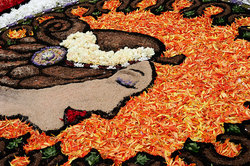 ��������� ������ � ����, �������