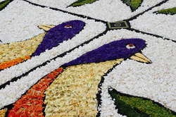 ��������� ������ � ����, �������