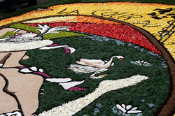 ��������� ������ � ����, �������