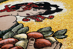 ��������� ������ � ����, �������