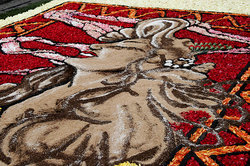 ��������� ������ � ����, �������