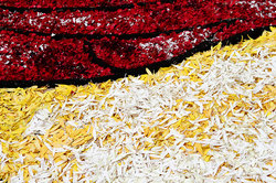 ��������� ������ � ����, �������