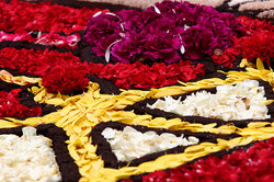 ��������� ������ � ����, �������