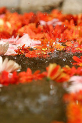 ��������� ������ � ����, �������