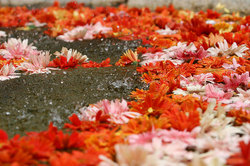 ��������� ������ � ����, �������