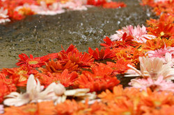 ��������� ������ � ����, �������