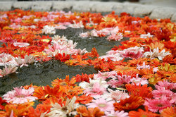 ��������� ������ � ����, �������