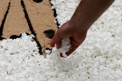 ��������� ������ � ����, �������