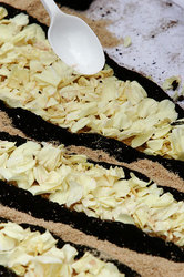 ��������� ������ � ����, �������